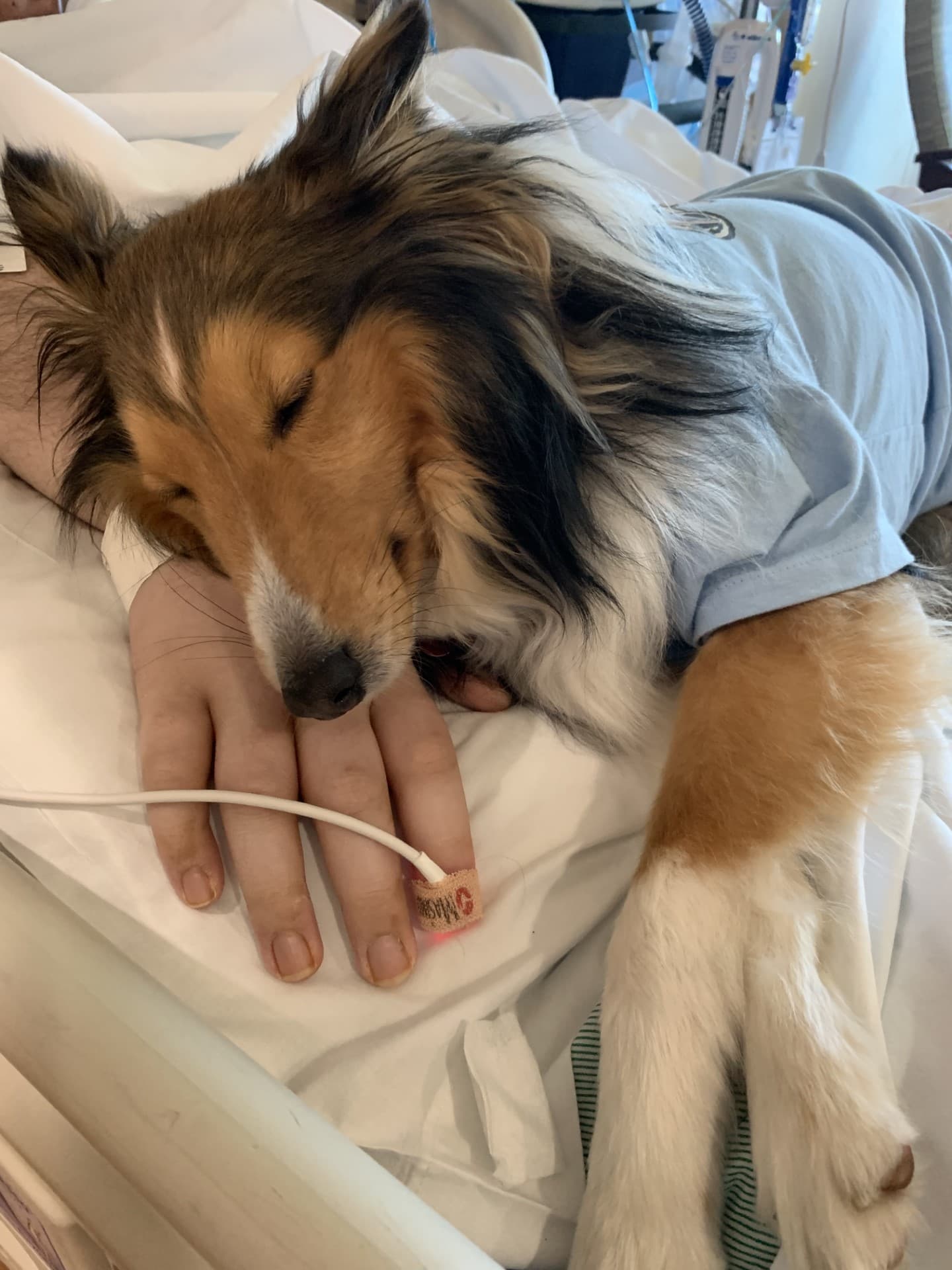 Sam and Alex during a therapy visit
