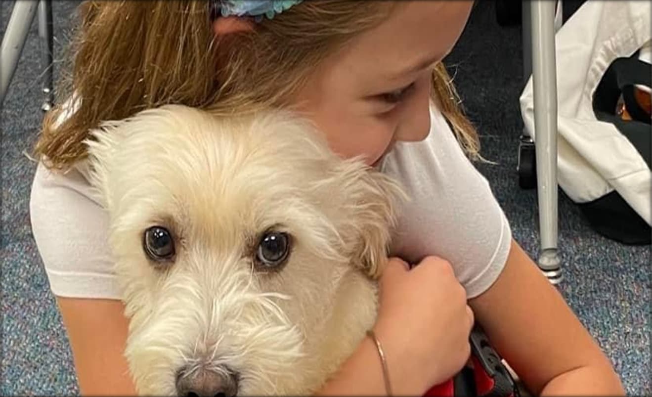 AJ, Angel Paws therapy dog