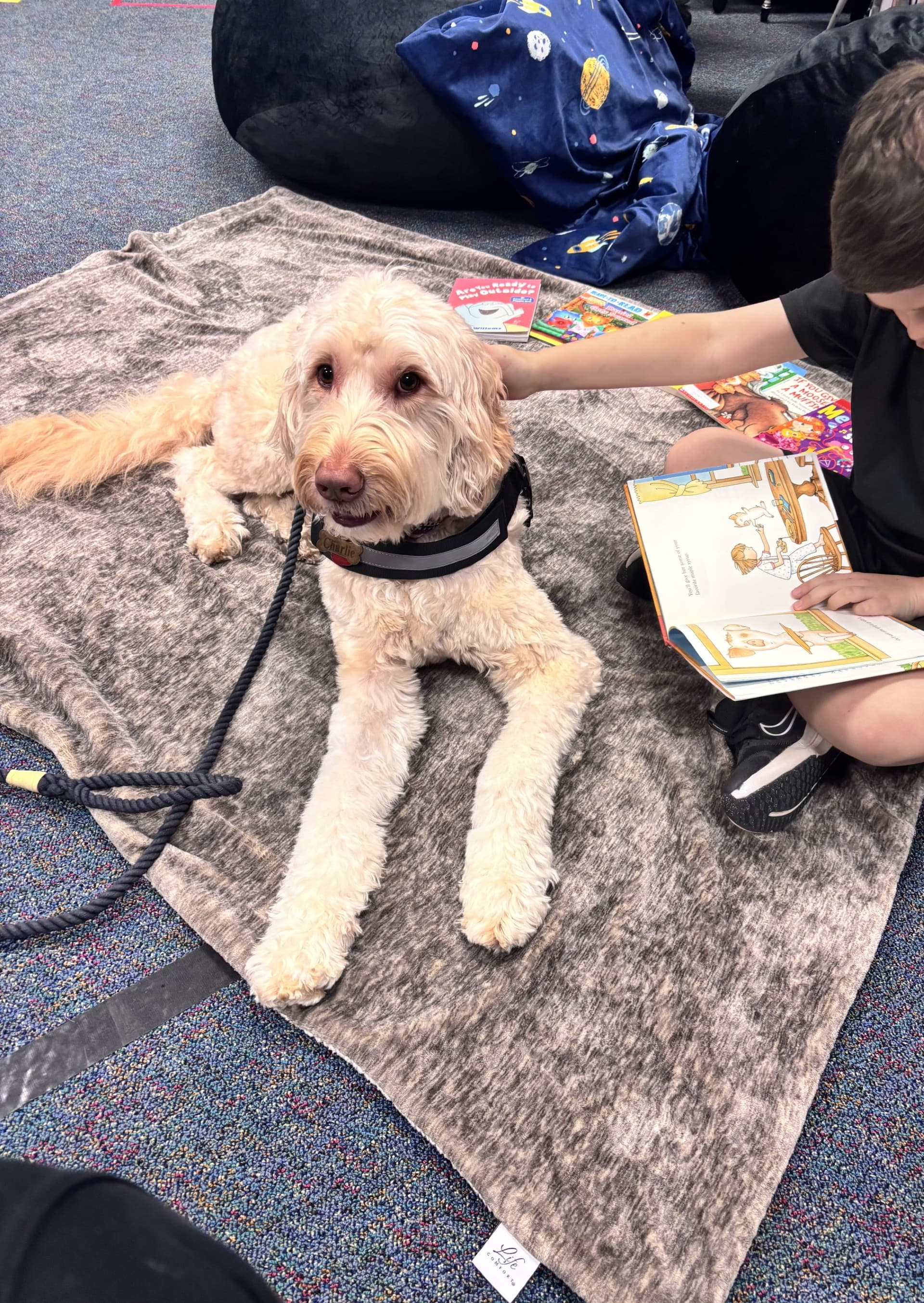 Charlie as a reading buddy