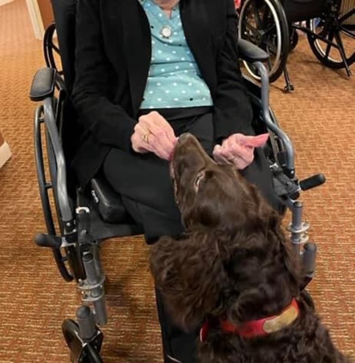 Covey at assisted living