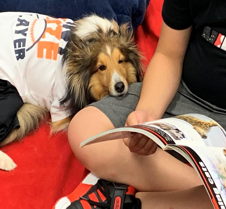 Sam during a reading program