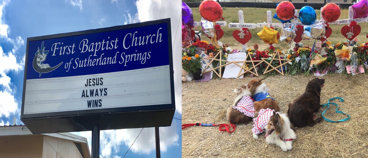 Angel Paws serving after Sutherland Springs tragedy