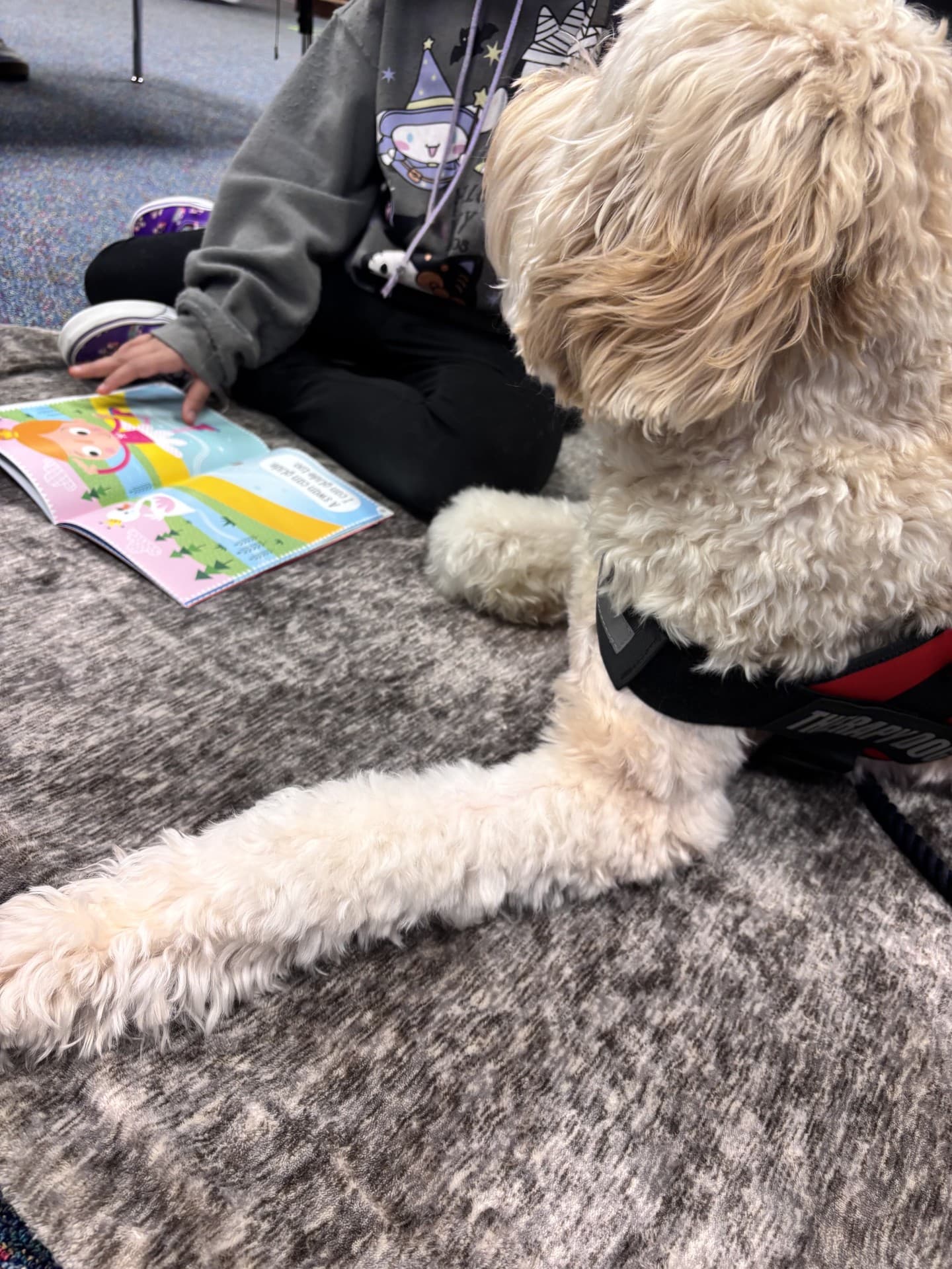 Charlie during a reading visit