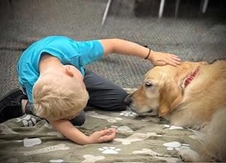 Child sharing a quiet moment with a golden retriever therapy dog