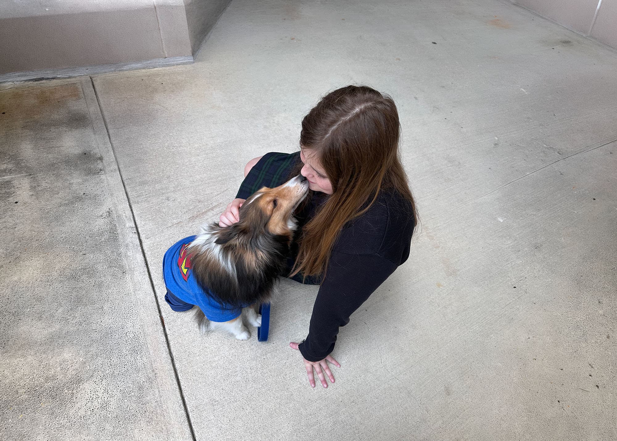 Therapy dog and handler at a school campus visit