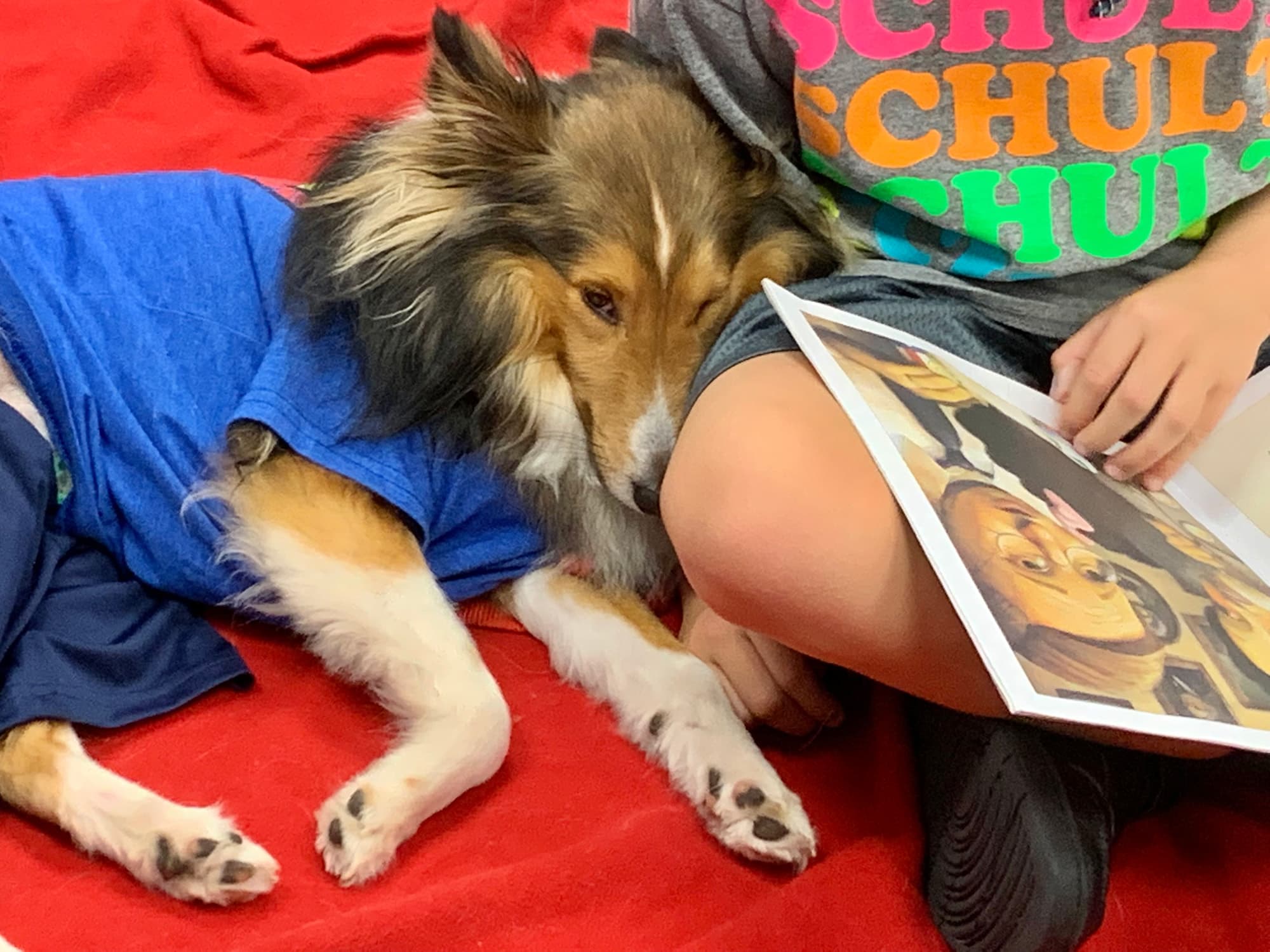 Sam comforting a child during an Angel Paws visit