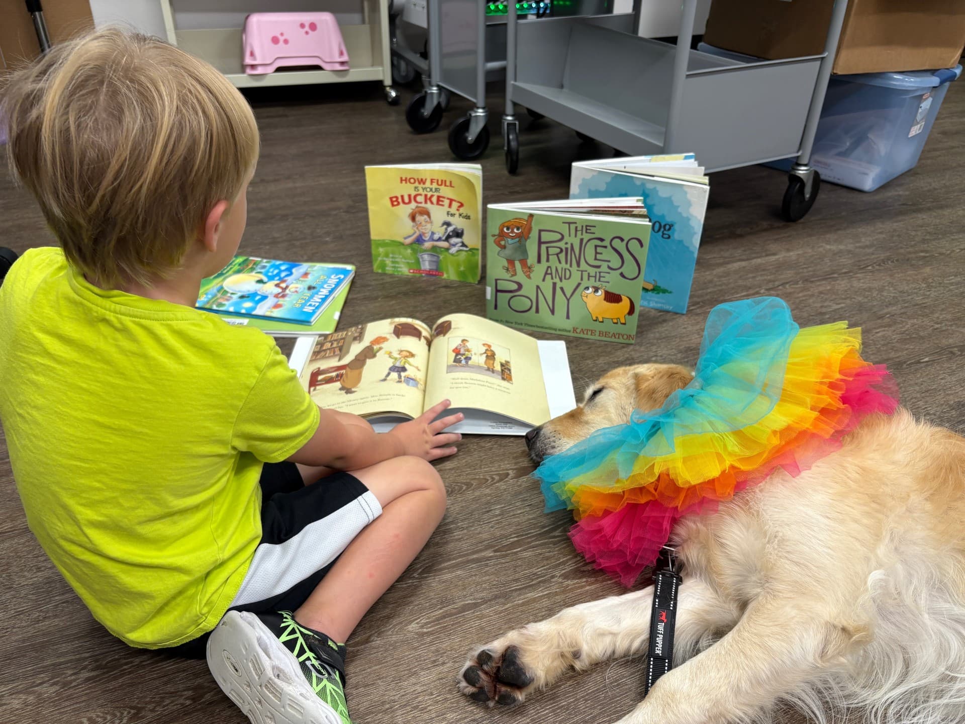 Benji, an Angel Paws therapy dog, visiting at a school