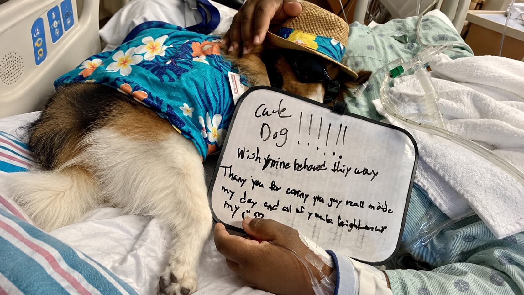 Sam comforting a patient during a hospital visit